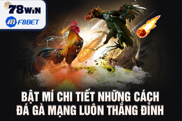 Bật mí chi tiết những cách đá gà mạng luôn thắng đỉnh 