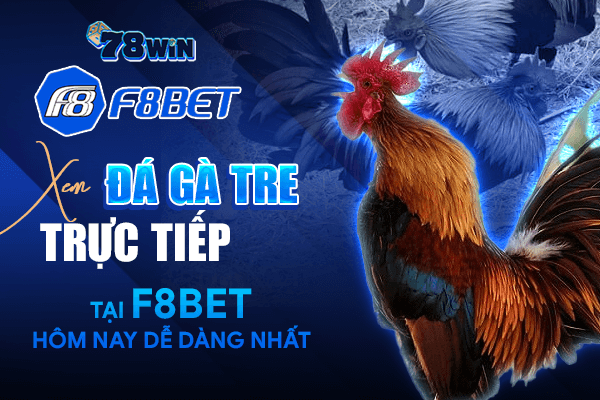 Xem đá gà tre trực tiếp tại F8bet hôm nay dễ dàng nhất