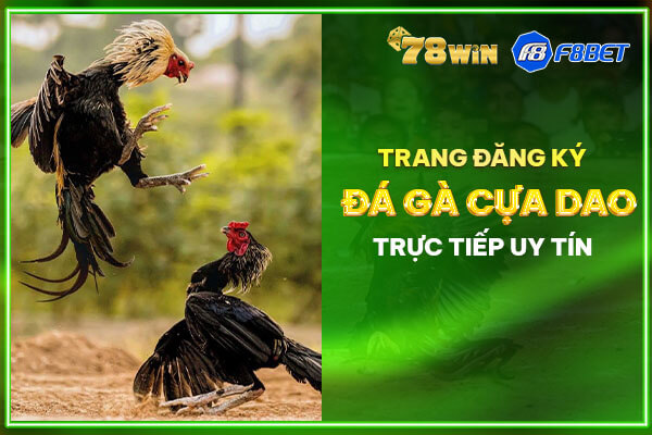 F8bet - Trang đăng ký đá gà cựa dao trực tiếp uy tín