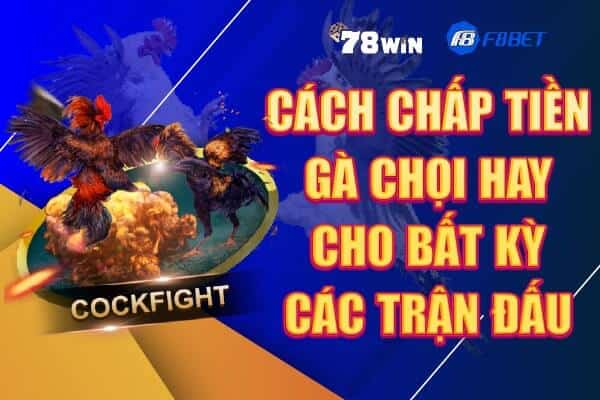 Cách chấp tiền gà chọi hay cho bất kỳ các trận đấu