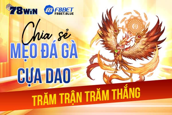 Chia sẻ mẹo đá gà cựa dao trăm trận trăm thắng từ cao thủ