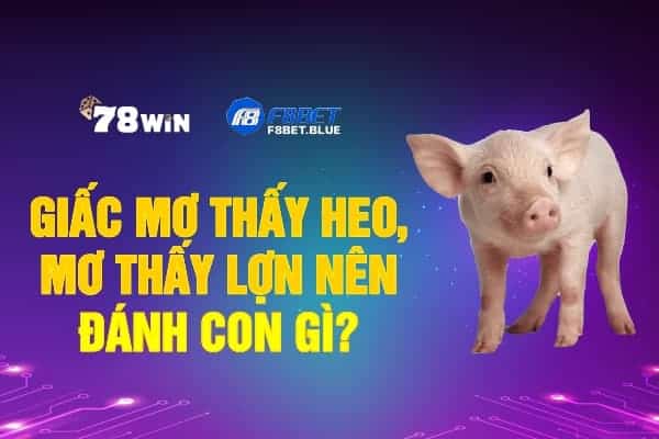 Giấc mơ thấy heo, mơ thấy lợn nên đánh con gì may mắn?