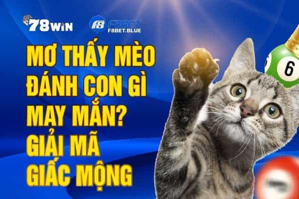 Mơ thấy mèo đánh con gì may mắn? Giải mã giấc mộng