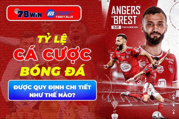 Tỷ lệ cá cược bóng đá được quy định chi tiết như thế nào?