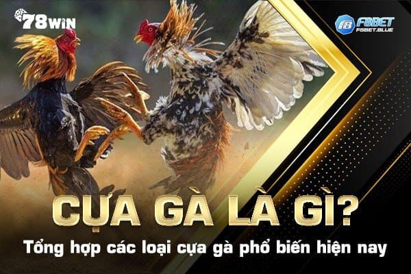 Cựa gà là gì? Tổng hợp các loại cựa gà phổ biến hiện nay 